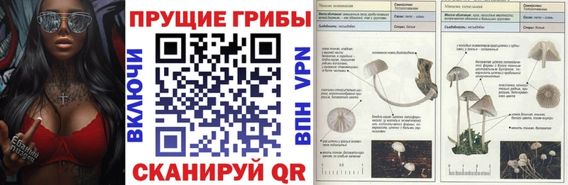 Купить  Лениногорск  Псилоцибиновые грибы ЛСД 